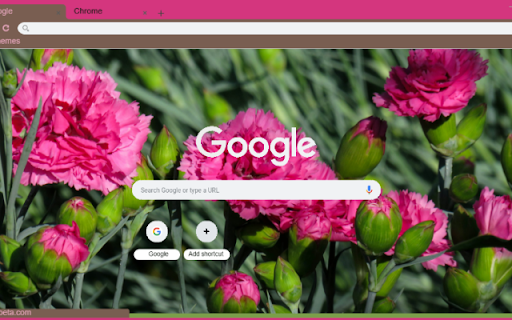 Carnation screenshot 1