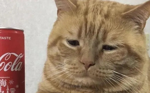 Cat on the Brink of Tears screenshot 1