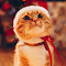 Cat wallpaper - adorable cat wallpaper logo