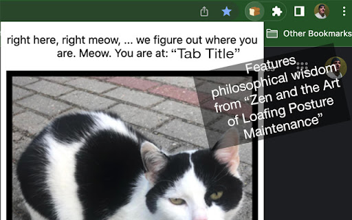 Catloaf, where are we? screenshot 1