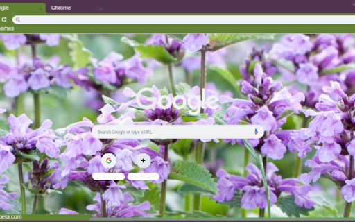 Catmint screenshot 1