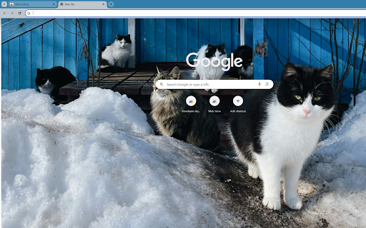 Cats frolicking in the snow screenshot 1