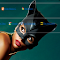 Catwoman 2.0 logo