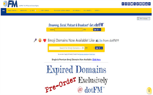 Cheap .FM Domain screenshot 1