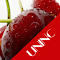 Cherry Theme logo