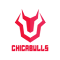 Chicabulls logo