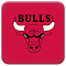Chicago Bulls logo