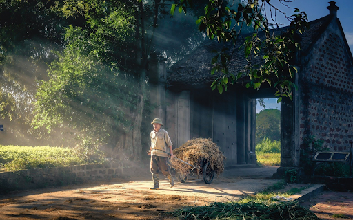 Childhood memories screenshot 1