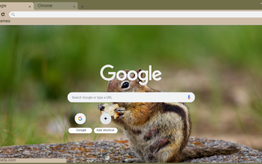 Chipmunk screenshot 1