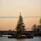 Christmas tree on the river in front of a bridge logo
