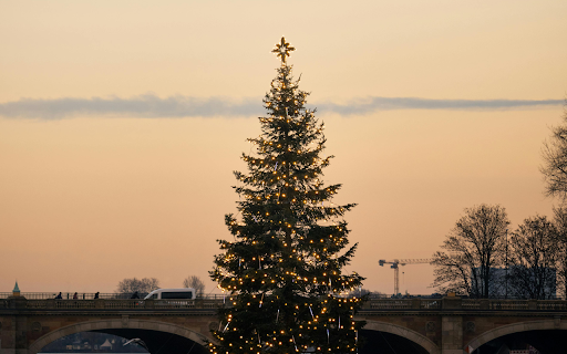 Christmas tree on the river in front of a bridge screenshot 1
