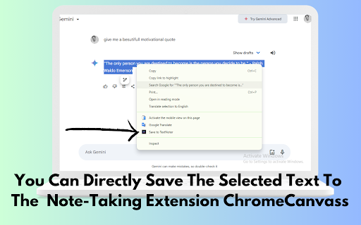 Chrome Canvass screenshot 1