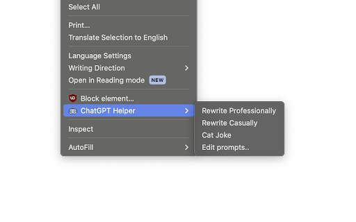 Chrome ChatGPT Helper screenshot 1