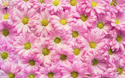 Chrysanthemum arrangement screenshot 1