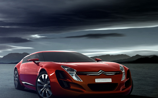 Citroen C Metisse screenshot 1