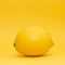 Citrus Orb, Zest in Sunny Hue logo