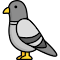 City Pigeons on the Ledge logo