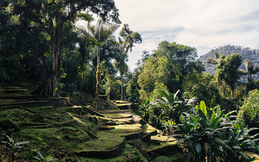 Ciudad Perdida screenshot 1