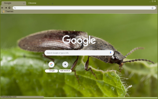 Click Beetle screenshot 1