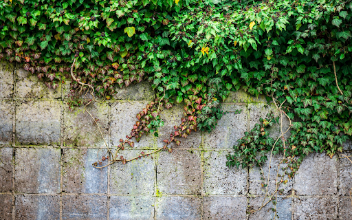 Climbing wall screenshot 1
