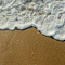 Close-up of a Foamy Wave on the Shore logo
