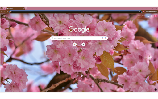 Close-up of Cherry Blossoms screenshot 1