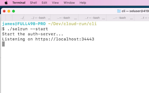 Cloud Run for Selenium screenshot 1