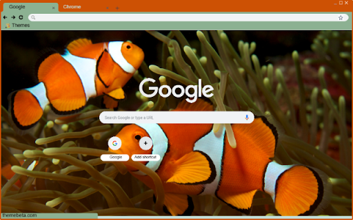 Clownfish screenshot 1