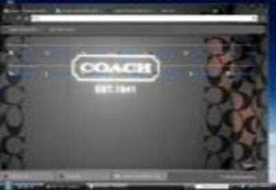 Coach Theme screenshot 1