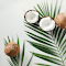 coconut skull and coconut leaves logo