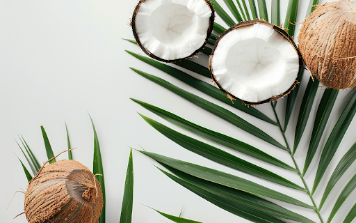 coconut skull and coconut leaves screenshot 1