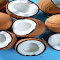 Coconut wallpaper logo