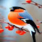 colorful bird wallpaper logo