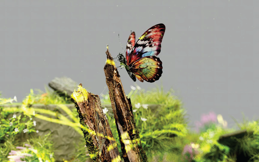 Colorful Butterfly screenshot 1