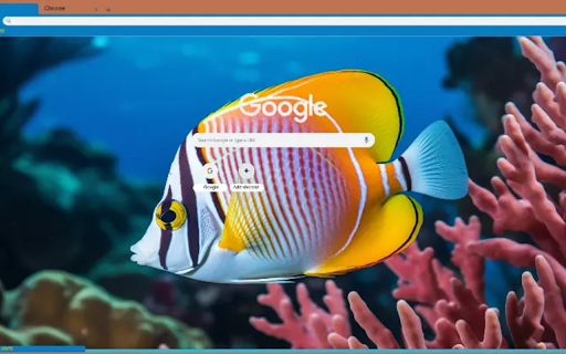 colorful fish swimming underwater screenshot 1