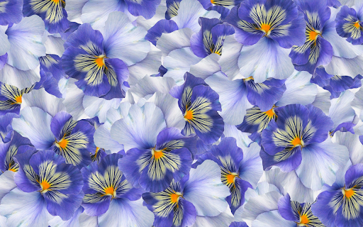 Colorful flowers screenshot 1