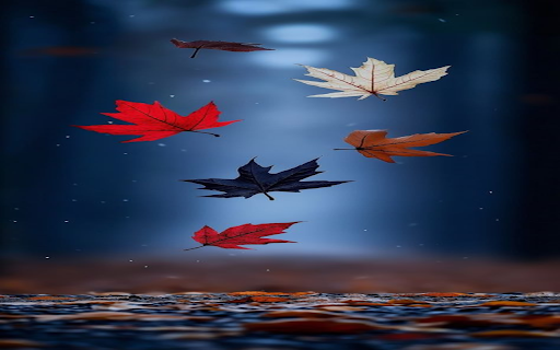 Colorful maple leaves Wallpaper screenshot 1