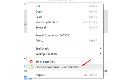 ConnnectWise screenshot 1
