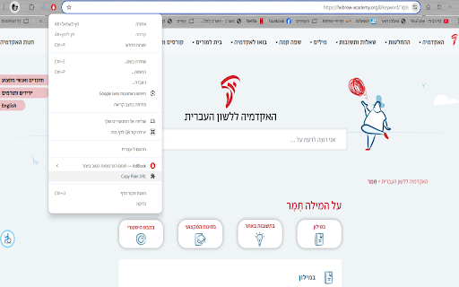Copy Plain URL screenshot 1