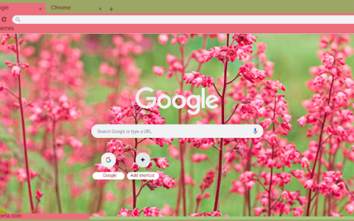 Coral Bells screenshot 1