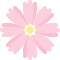 Cosmos Blossom logo