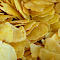 Crispy thin potato slices logo