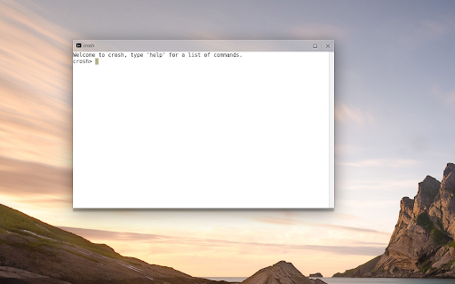 Crosh Window screenshot 1