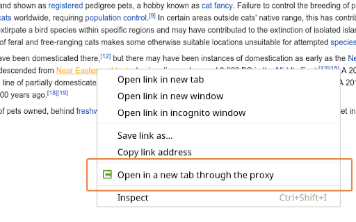 CroxyProxy Free Web Proxy Lite screenshot 1