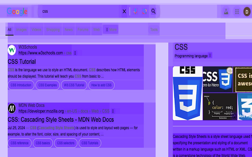 CSS Debugger screenshot 1