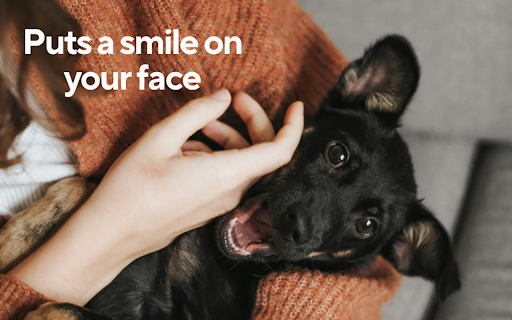 Cute Dog Wallpapers - New Tab screenshot 1