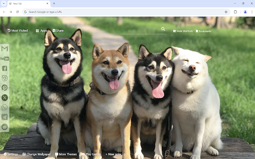 Cute Dogs & Puppies Wallpaper screenshot 1