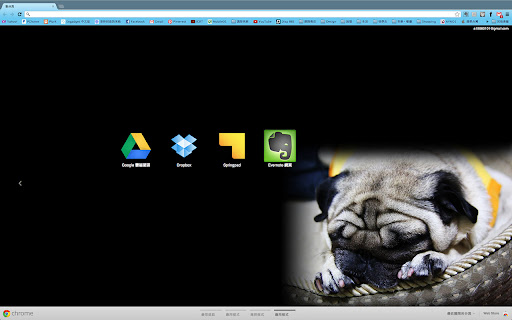cutepug screenshot 1