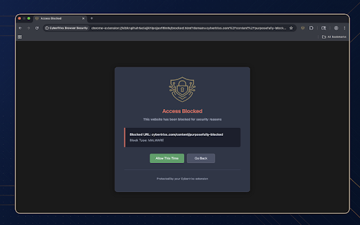 CyberTrixs Browser Security screenshot 1