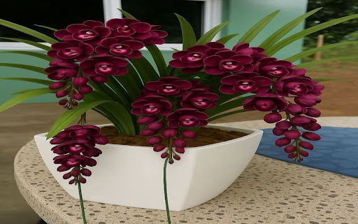 Cymbidium Wallpaper screenshot 1